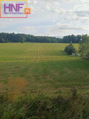 Działka Sprzedaż Smerekowiec 1
