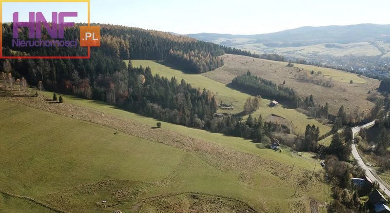 Działka Sprzedaż Tylicz