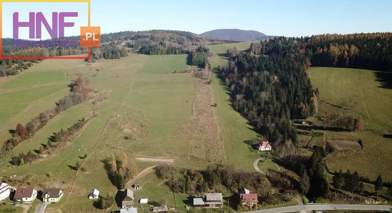 Działka Sprzedaż Tylicz