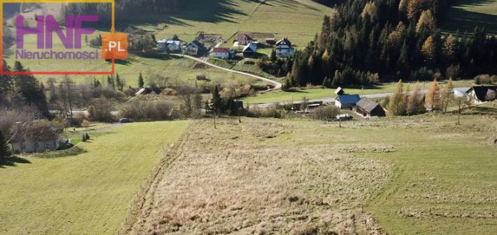 Działka Sprzedaż Tylicz 2