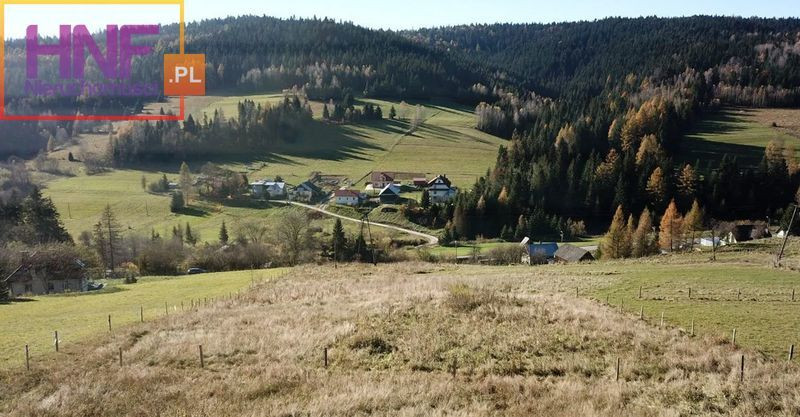 Działka Sprzedaż Tylicz