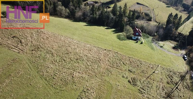 Działka Sprzedaż Tylicz