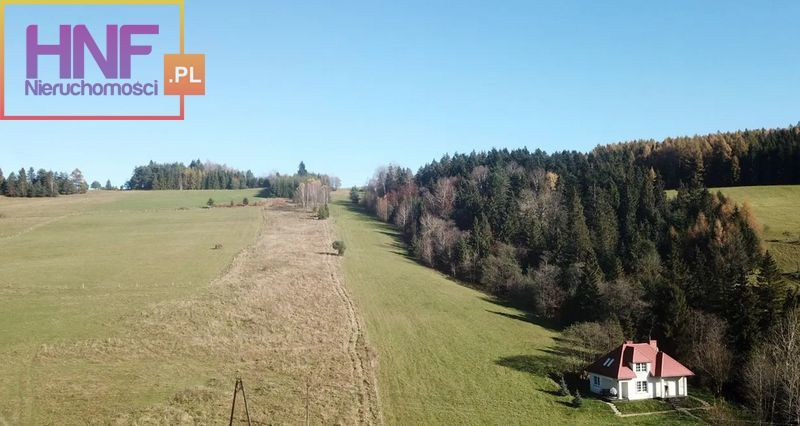 Działka Sprzedaż Tylicz