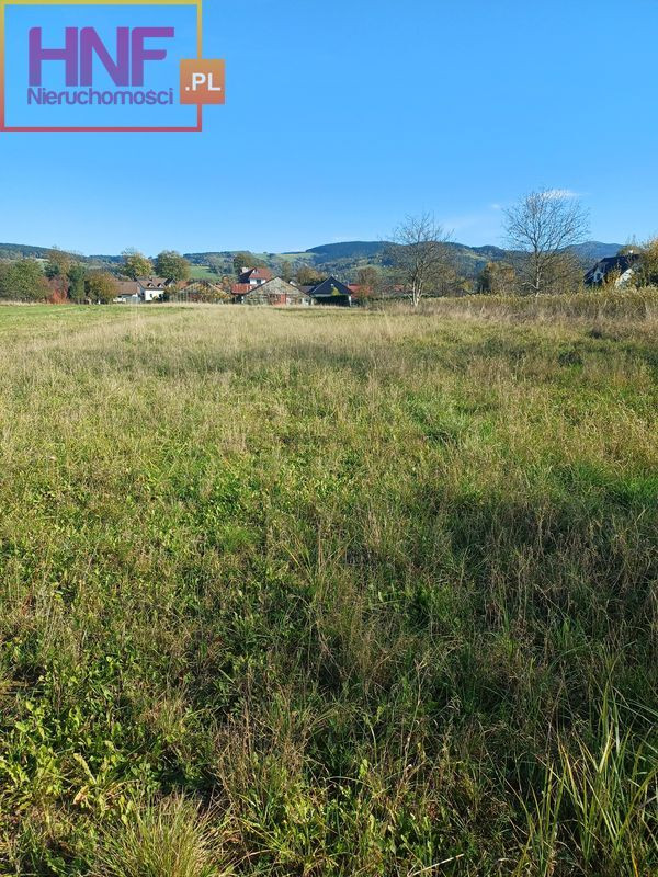 Działka Sprzedaż Stary Sącz