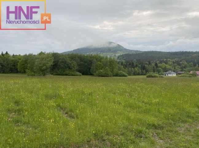 Działka Sprzedaż Ptaszkowa 2