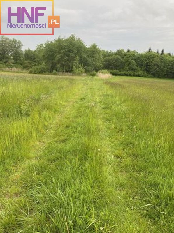 Działka Sprzedaż Ptaszkowa 5