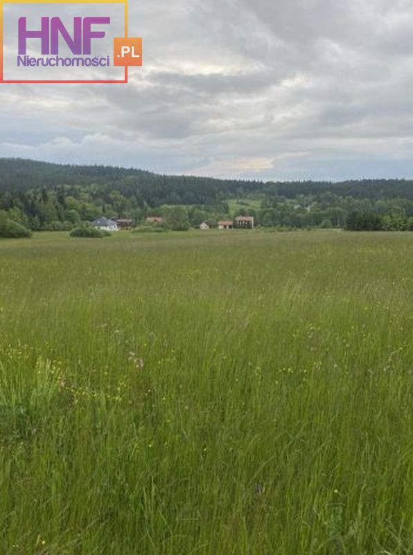 Działka Sprzedaż Ptaszkowa