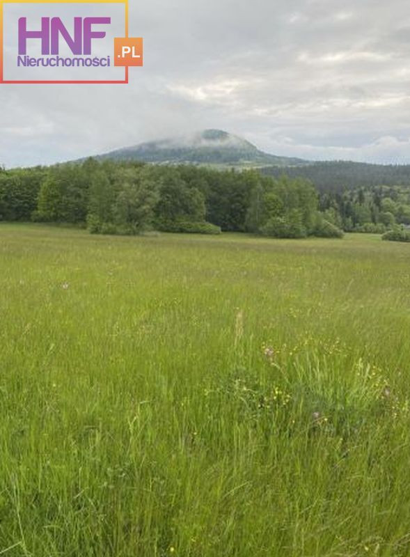 Działka Sprzedaż Ptaszkowa