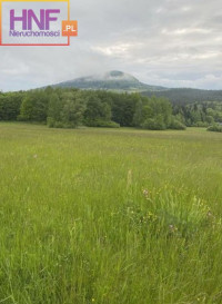 Działka Sprzedaż Ptaszkowa