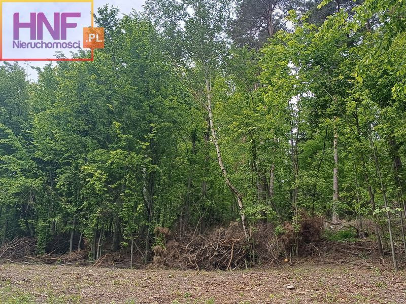 Działka Sprzedaż Czaczów 11