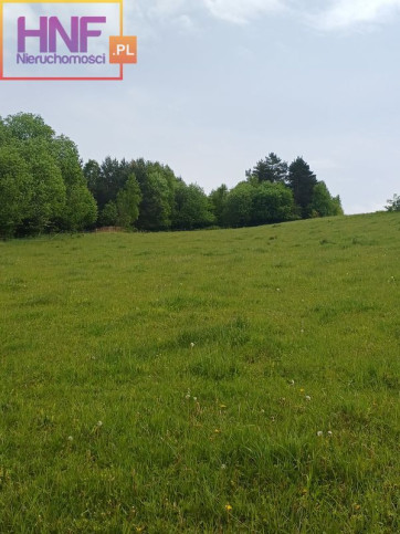 Działka Sprzedaż Czaczów 6