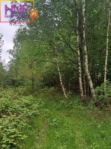 Działka Sprzedaż Czaczów 7