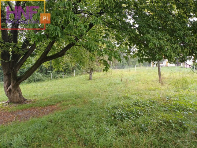 Działka Wynajem Wielopole 15