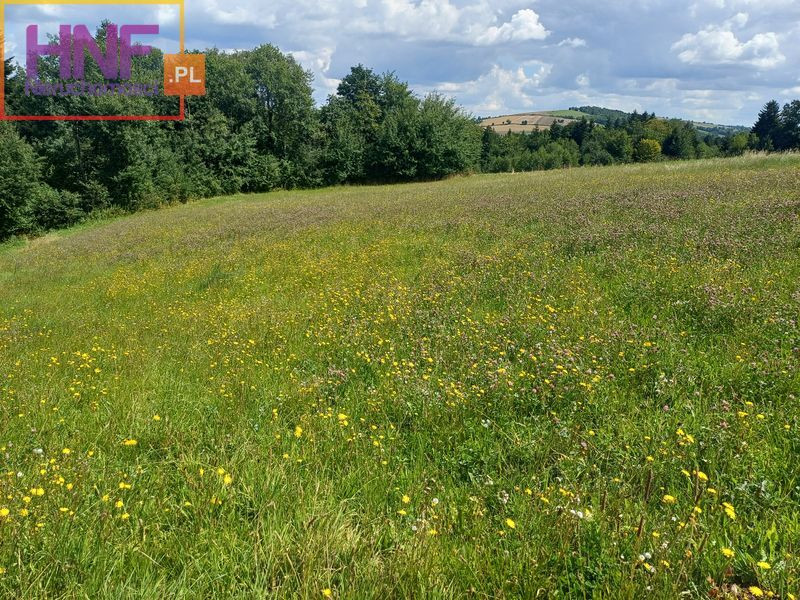 Działka Sprzedaż Wielogłowy