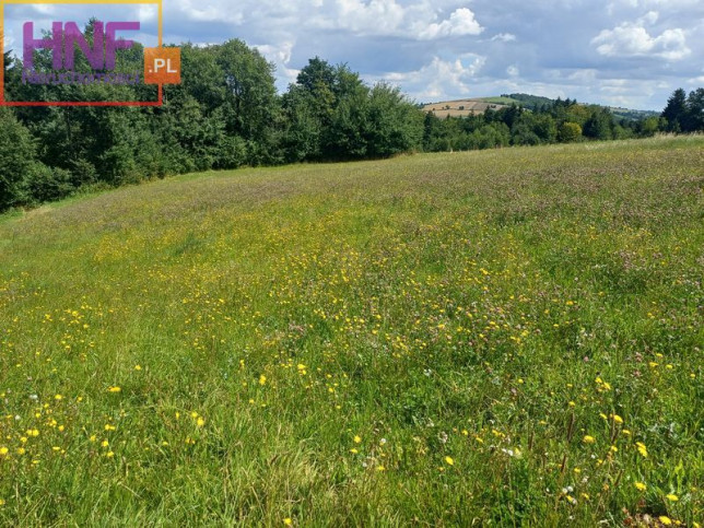 Działka Sprzedaż Wielogłowy 7