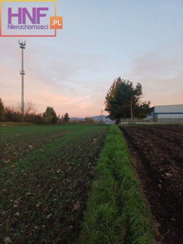 Działka Sprzedaż Stary Sącz 3