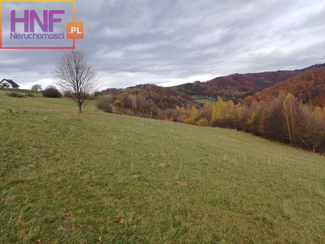 Działka Sprzedaż Rytro 6