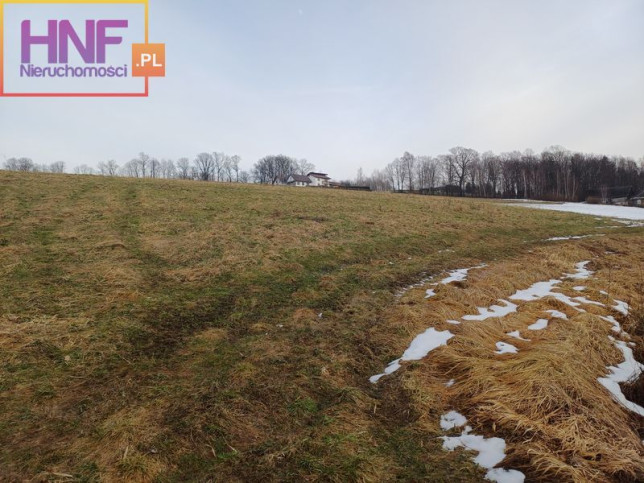 Działka Sprzedaż Polna 8