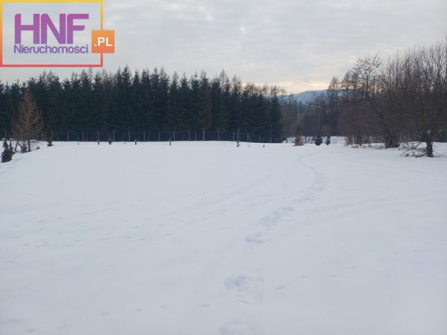 Działka Sprzedaż Tylicz 1