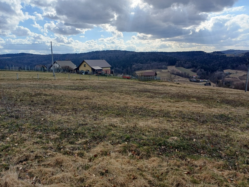 Działka Sprzedaż Podole
