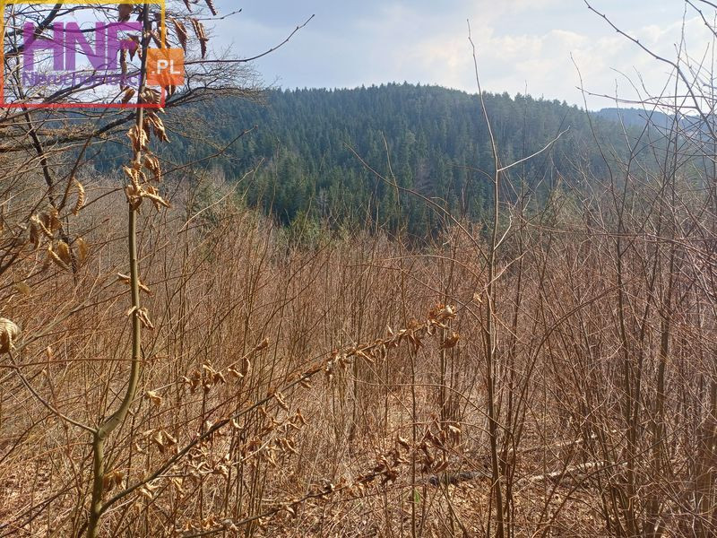 Działka Sprzedaż Kunów