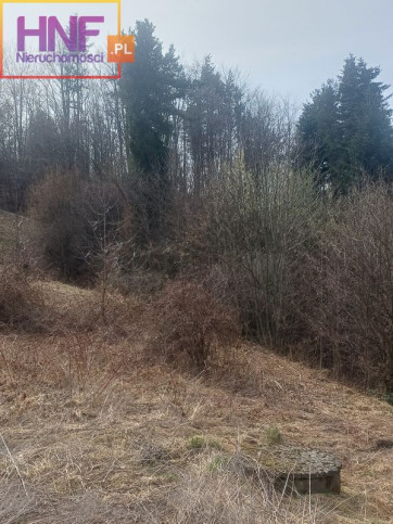 Działka Sprzedaż Łukowica 22