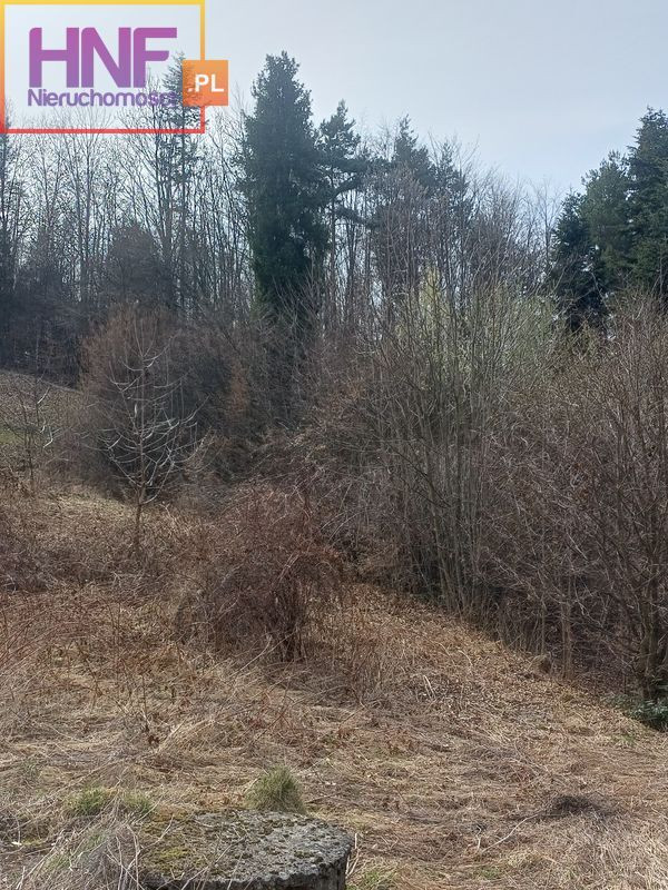 Działka Sprzedaż Łukowica 23