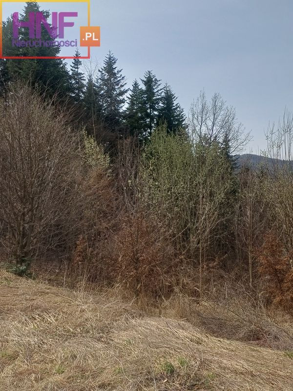 Działka Sprzedaż Łukowica 24