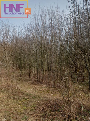 Działka Sprzedaż Łukowica 15