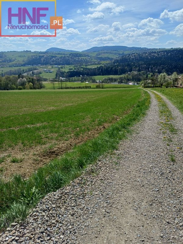 Działka Sprzedaż Korzenna