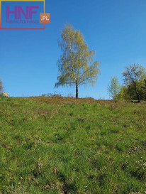 Działka Sprzedaż Gródek Nad Dunajcem