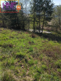 Działka Sprzedaż Gródek Nad Dunajcem