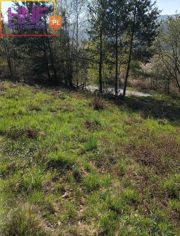 Działka Sprzedaż Gródek Nad Dunajcem