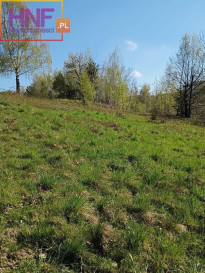 Działka Sprzedaż Gródek Nad Dunajcem