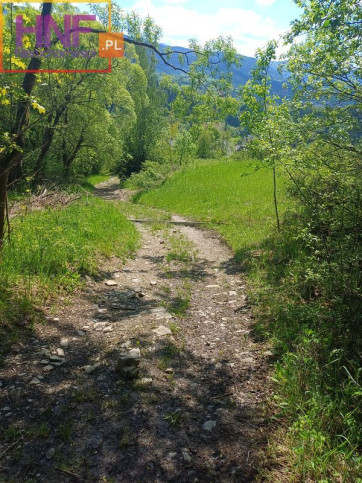 Działka Sprzedaż Lubomierz 9