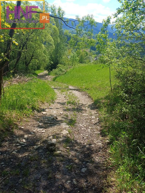 Działka Sprzedaż Lubomierz