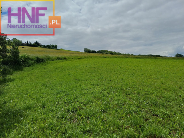 Działka Sprzedaż Korzenna 23