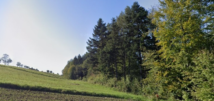 Działka Sprzedaż Mogilno 8
