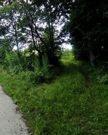 Działka Sprzedaż Mogilno 10