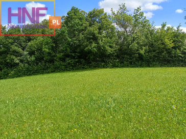 Działka Sprzedaż Korzenna