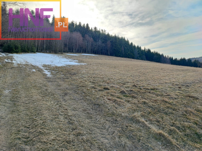 Działka Sprzedaż Długołęka-Świerkla 10