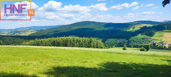 Działka Sprzedaż Długołęka-Świerkla 2