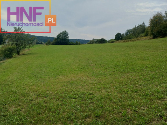 Działka Sprzedaż Naszacowice 1