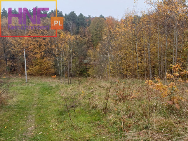 Działka Sprzedaż Laskowa 4
