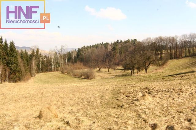 Działka Sprzedaż Krasne Potockie