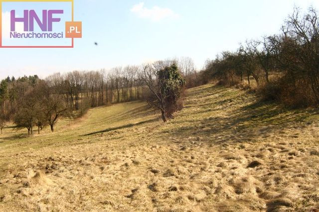 Działka Sprzedaż Krasne Potockie