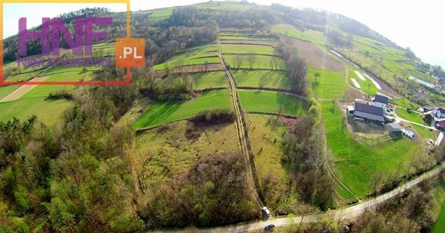 Działka Sprzedaż Wola Kurowska