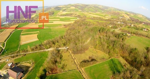 Działka Sprzedaż Wola Kurowska 3