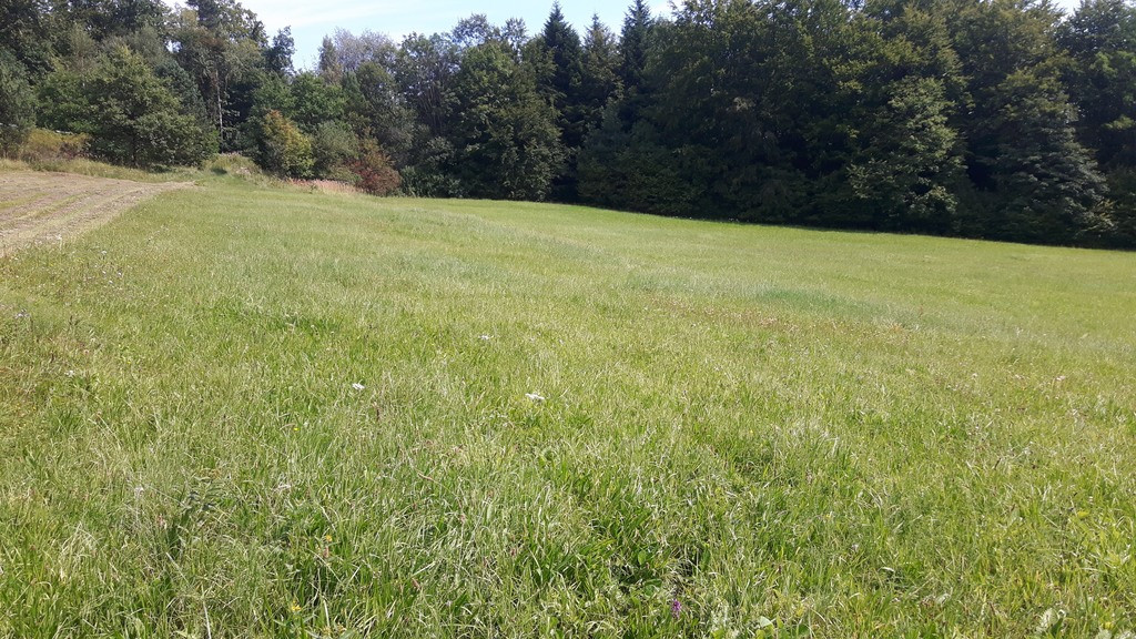 Działka Sprzedaż Gródek