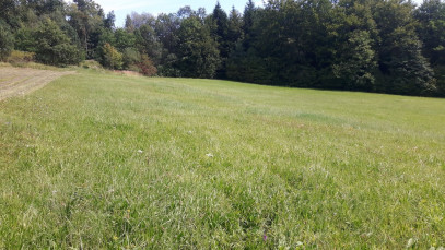 Działka Sprzedaż Gródek